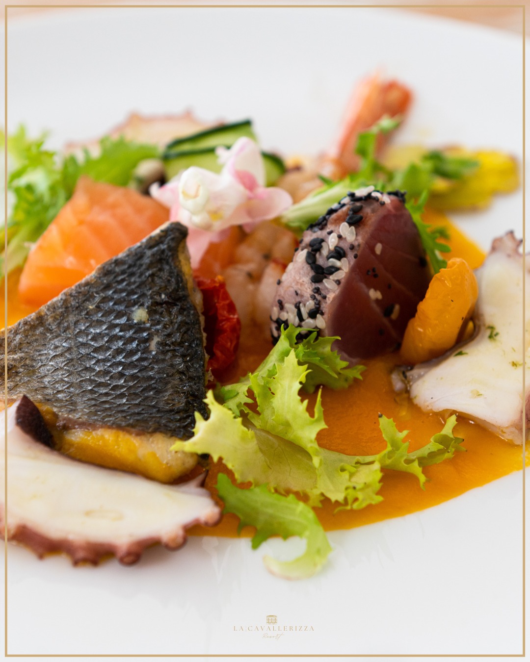 gastronomia territorio sala ricevimenti Potenza
